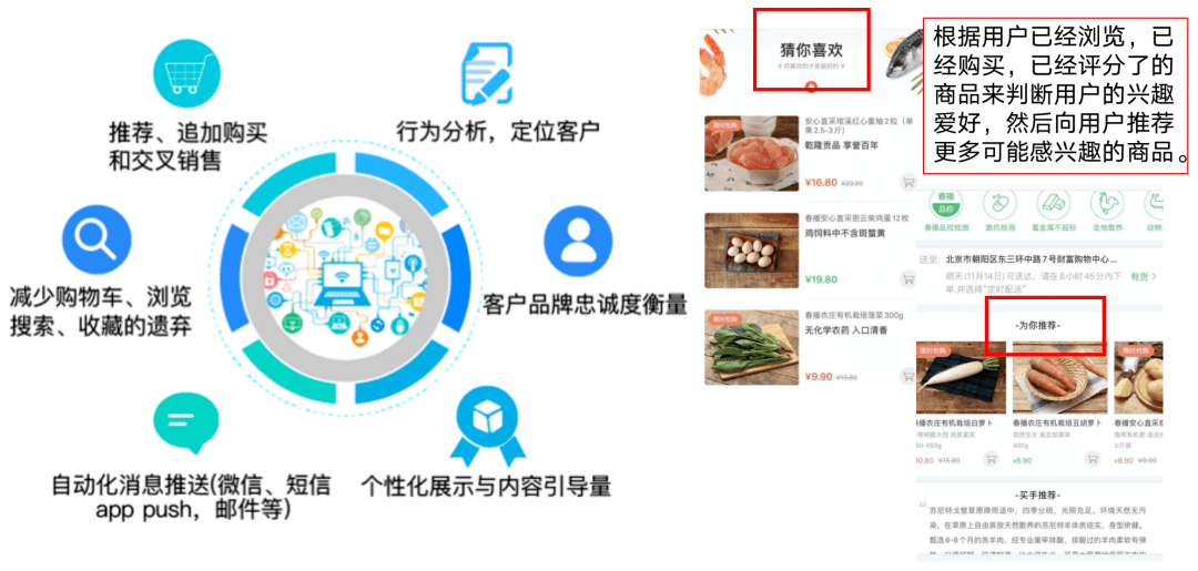 新奧天天精準資料大全，深度解析與實際應(yīng)用