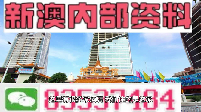 新澳正版資料免費提供，探索與啟示