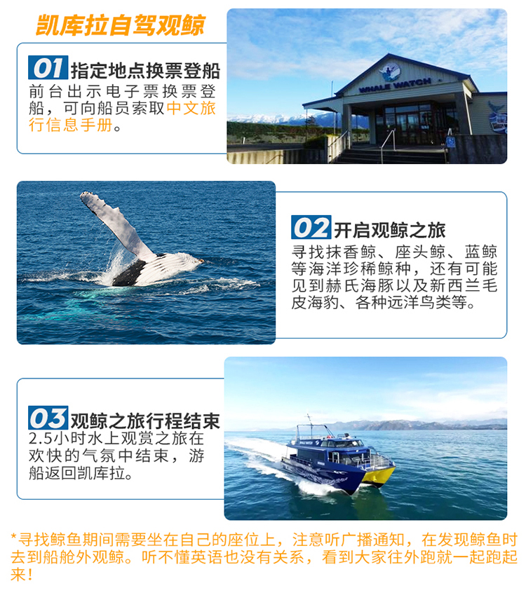探索香港，免費資料的海洋，2024全年指南