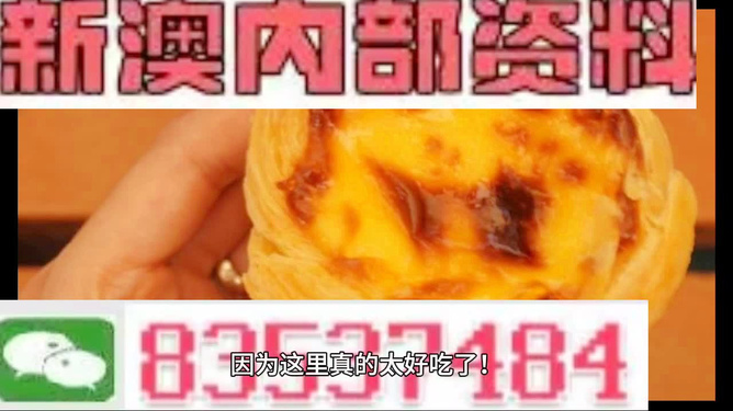 關(guān)于新澳門(mén)免費(fèi)正版資料的探討——警惕違法犯罪問(wèn)題