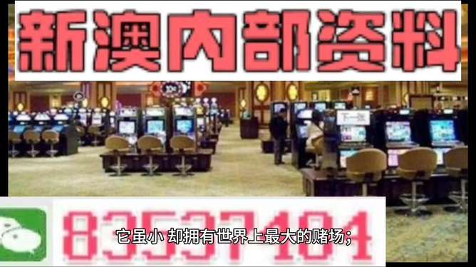 新澳2024大全正版免費，探索未來的彩票世界