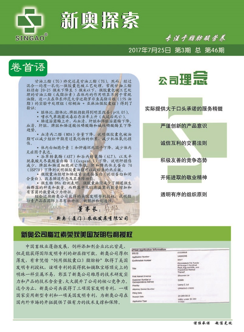 揭秘新奧精準(zhǔn)資料免費(fèi)大全，深度解析與實(shí)用指南（第078期）