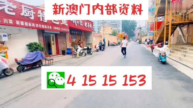 新2024年澳門(mén)天天開(kāi)好彩，探索彩票文化的新紀(jì)元